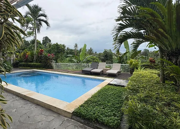 The Loyik Jungle View