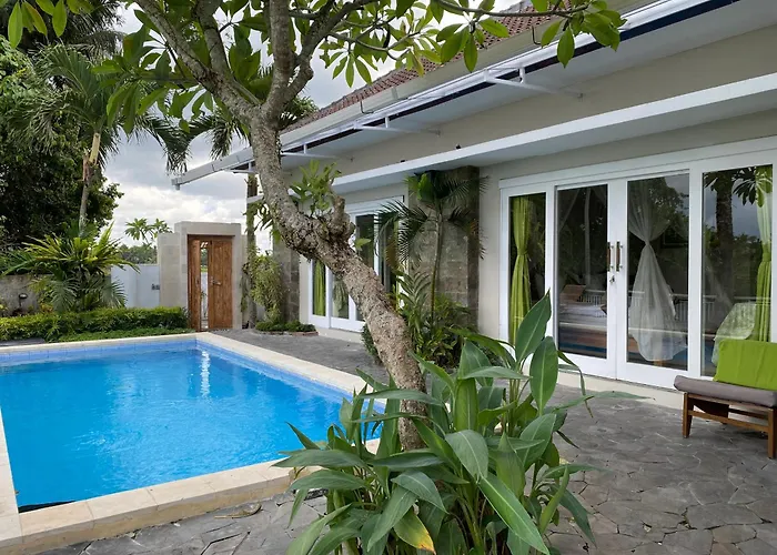 The Loyik Jungle View *